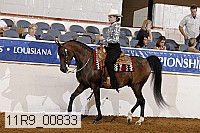 11r9_00833 proof