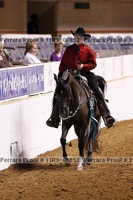 Proof 11r9_00852