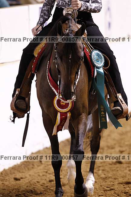 Proof 11r9_00857