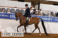 11r9_00890 proof