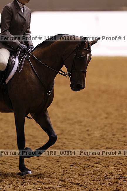 Proof 11r9_00891