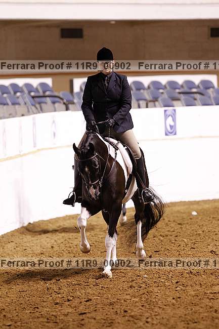 Proof 11r9_00902