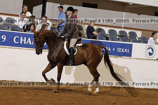 Proof 11r9_00905