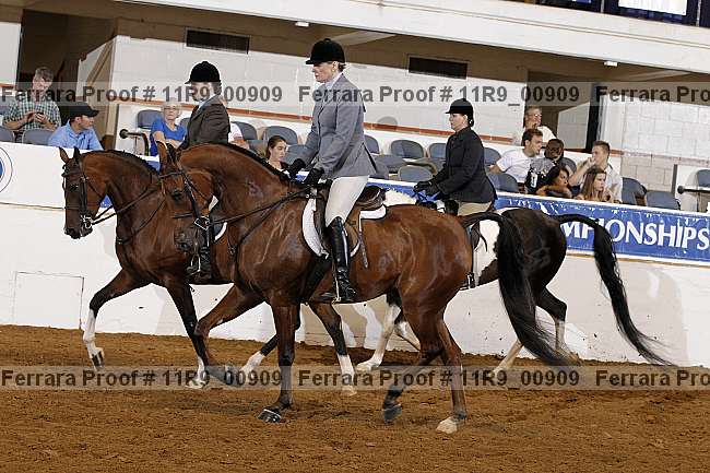 Proof 11r9_00909