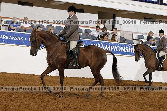 Proof 11r9_00910