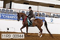 11r9_00944 proof