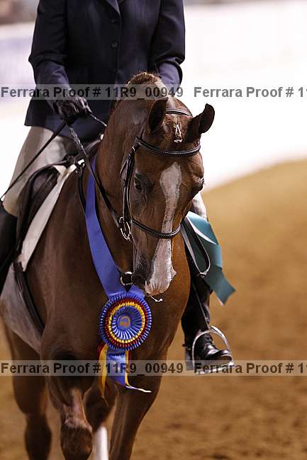 Proof 11r9_00949