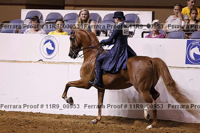 Proof 11r9_00953