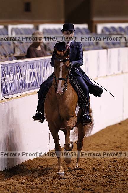 Proof 11r9_00959