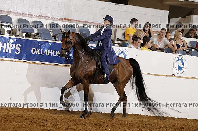 Proof 11r9_00960