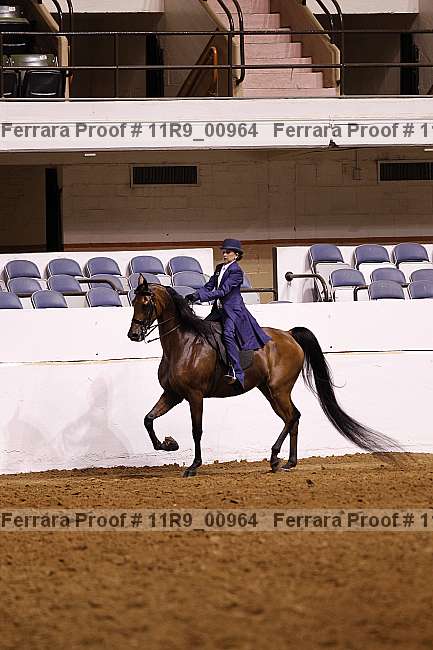Proof 11r9_00964