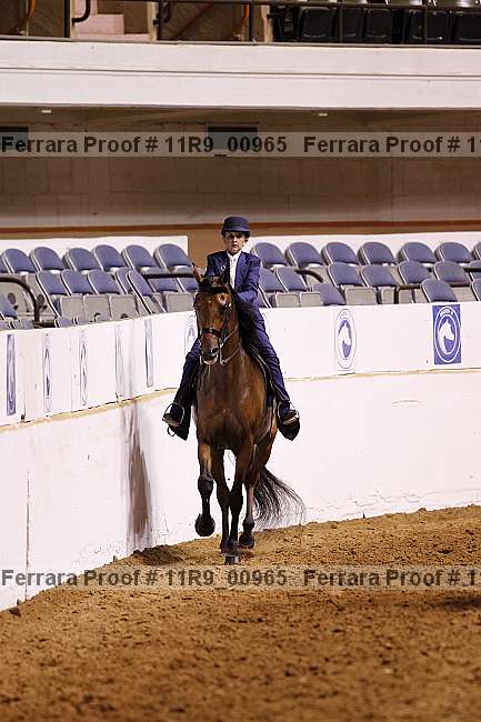Proof 11r9_00965