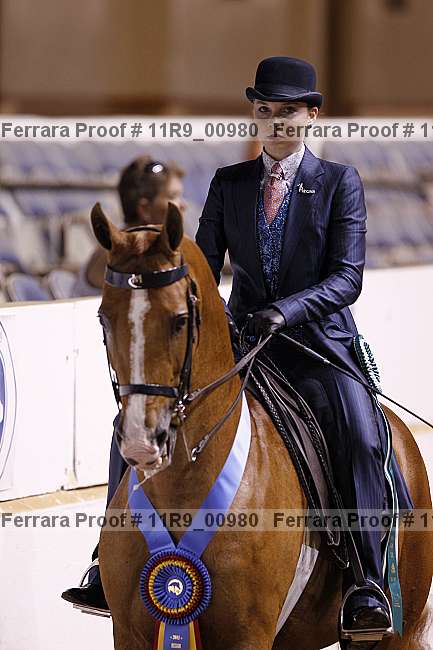 Proof 11r9_00980