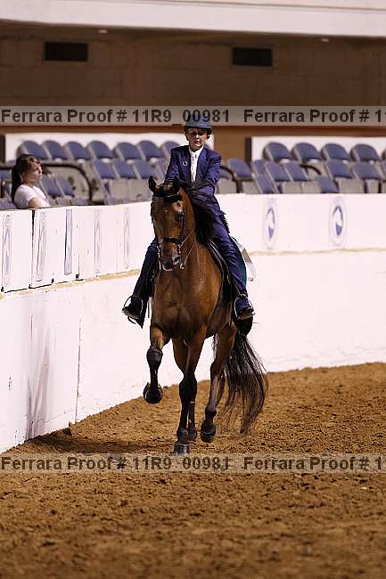 Proof 11r9_00981