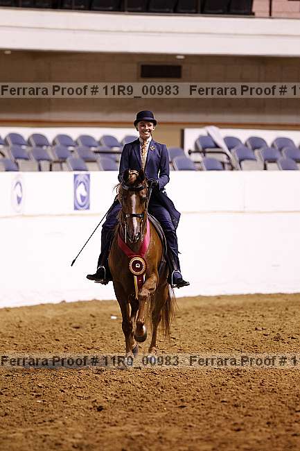 Proof 11r9_00983