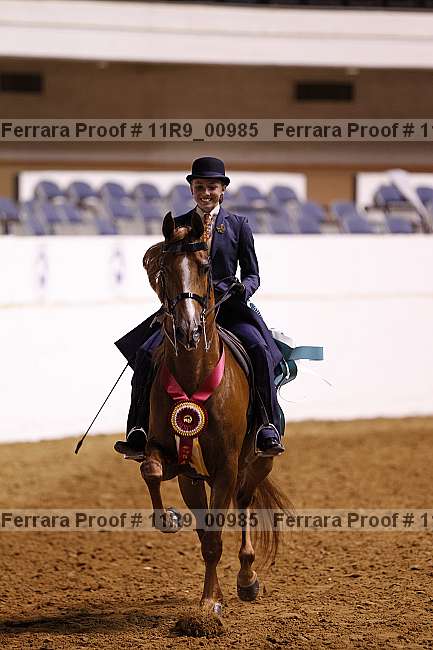 Proof 11r9_00985