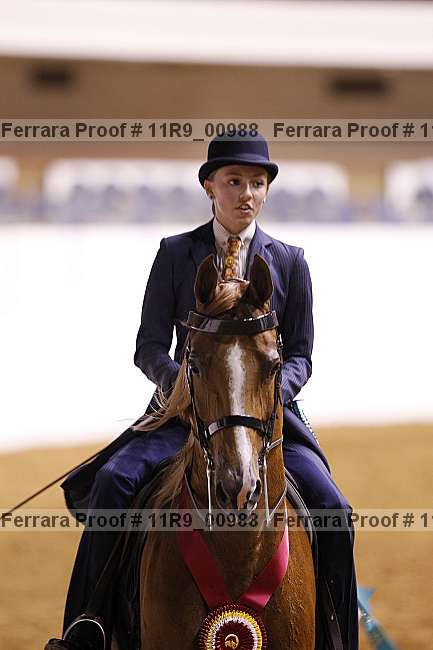 Proof 11r9_00988