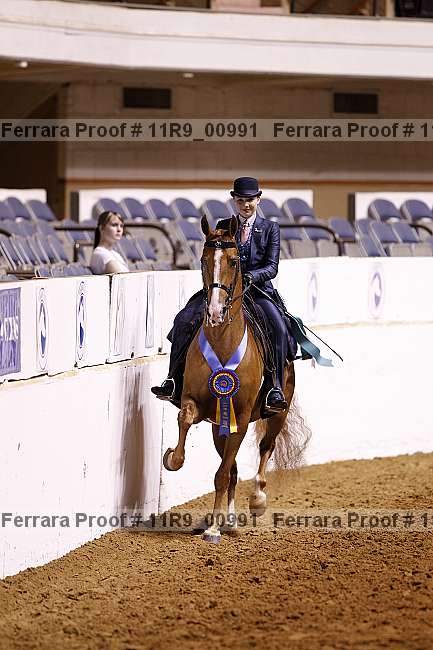 Proof 11r9_00991