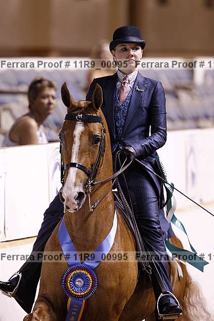 Proof 11r9_00995