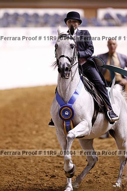 Proof 11r9_01004