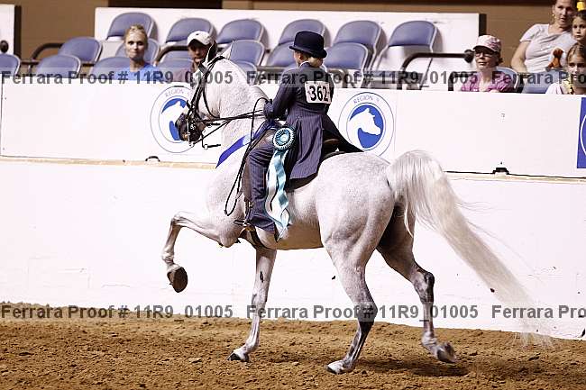 Proof 11r9_01005
