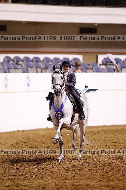 Proof 11r9_01007