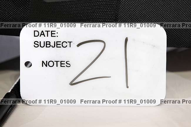 Proof 11r9_01009