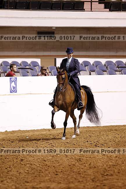 Proof 11r9_01017