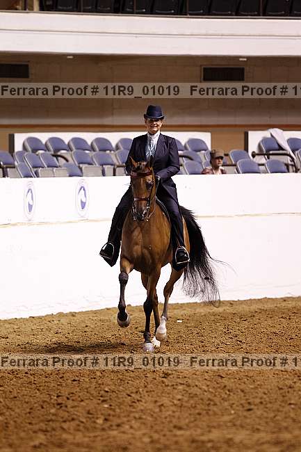 Proof 11r9_01019