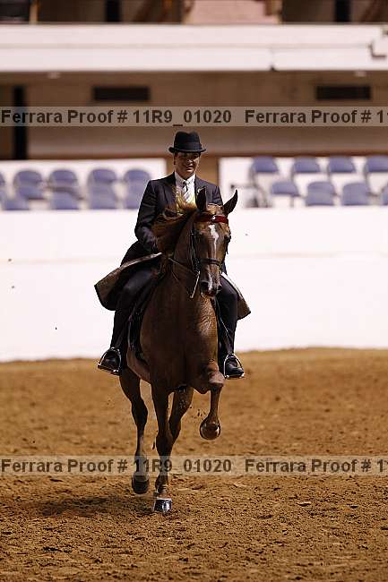 Proof 11r9_01020