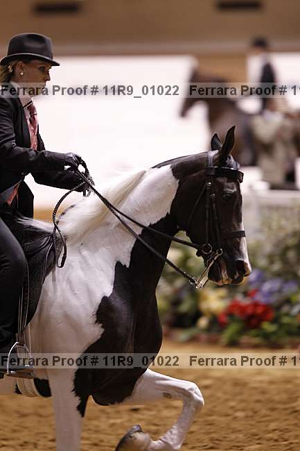 Proof 11r9_01022