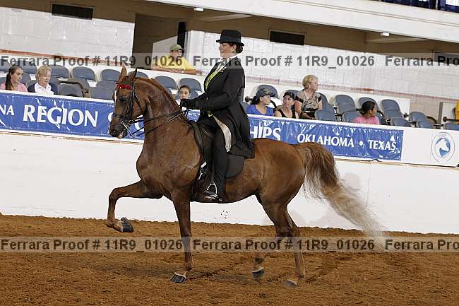 Proof 11r9_01026