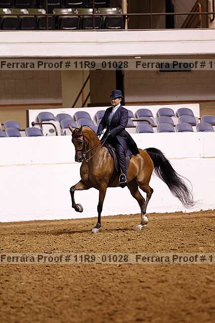 Proof 11r9_01028