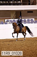 11r9_01028 proof