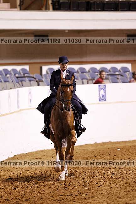 Proof 11r9_01030