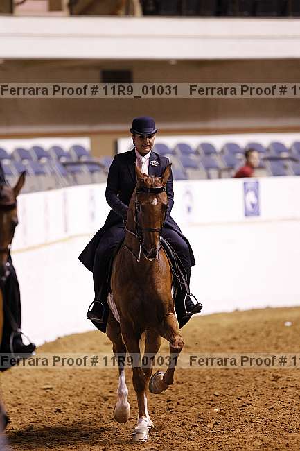 Proof 11r9_01031