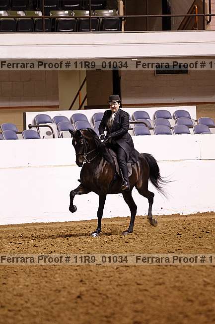 Proof 11r9_01034