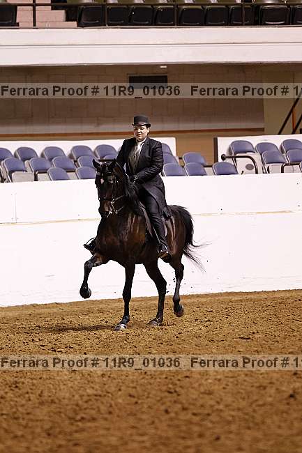 Proof 11r9_01036