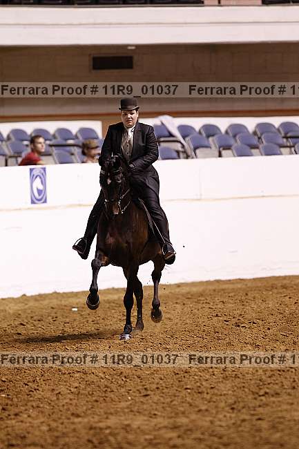 Proof 11r9_01037
