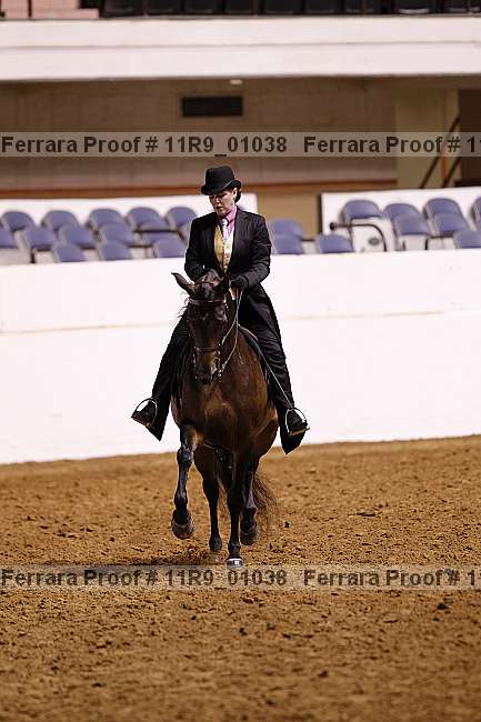 Proof 11r9_01038