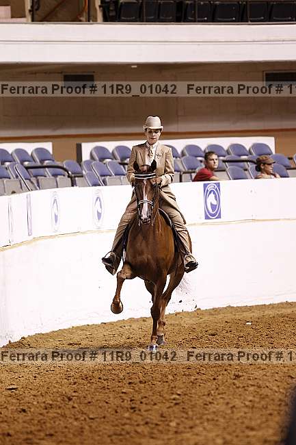 Proof 11r9_01042