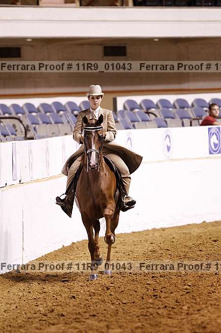 Proof 11r9_01043