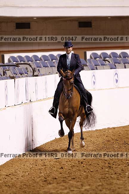 Proof 11r9_01047