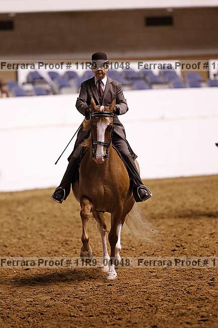 Proof 11r9_01048