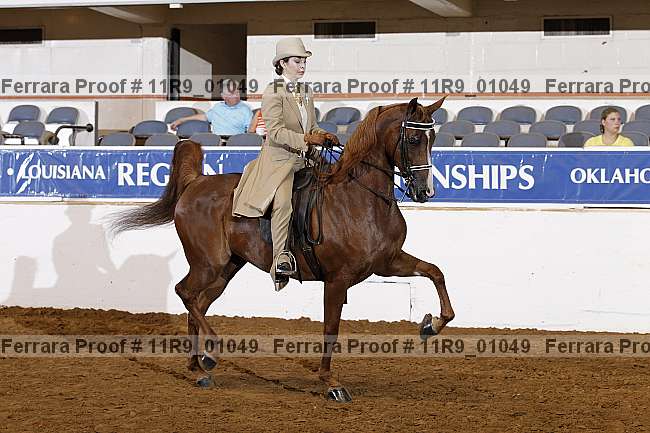Proof 11r9_01049