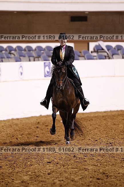 Proof 11r9_01062