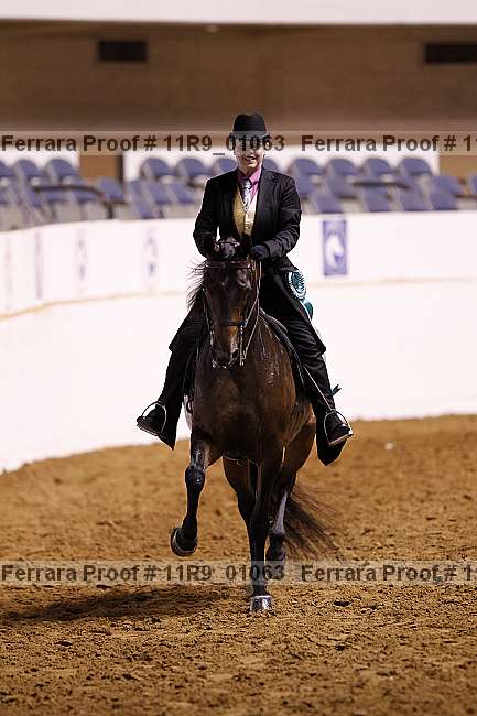 Proof 11r9_01063
