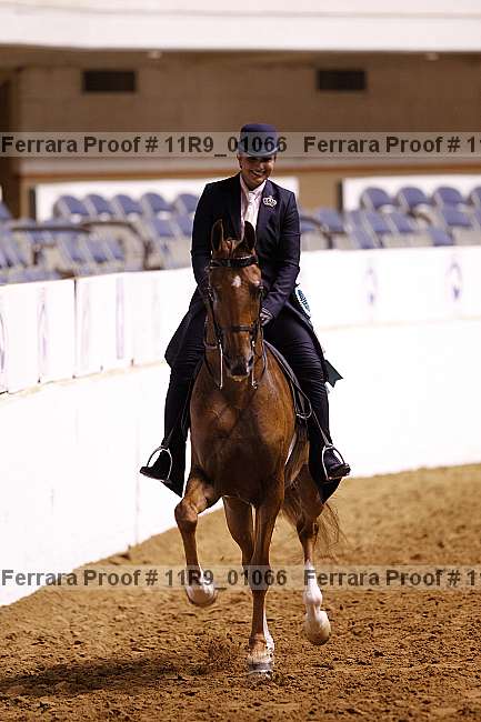 Proof 11r9_01066