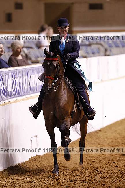 Proof 11r9_01069