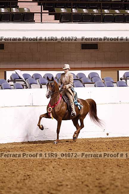 Proof 11r9_01072